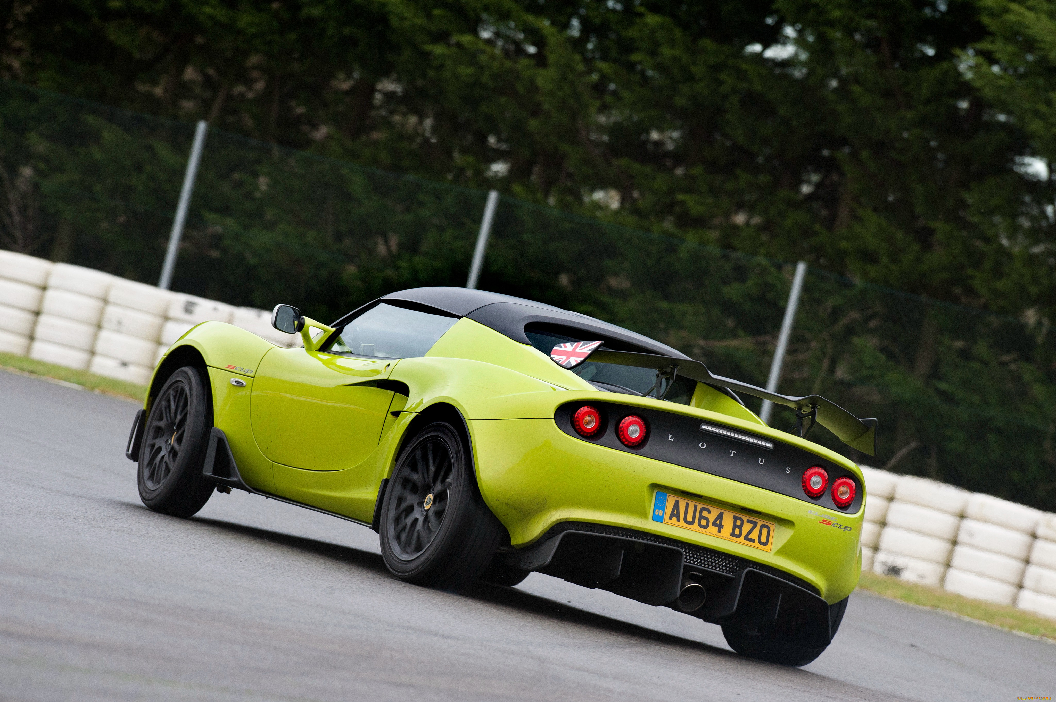 , lotus, , 2014, s, cup, elise